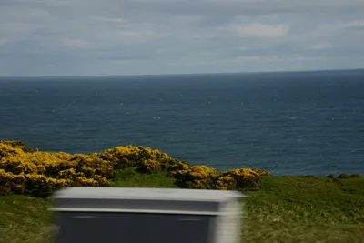 DSC_7263 (Large).JPG